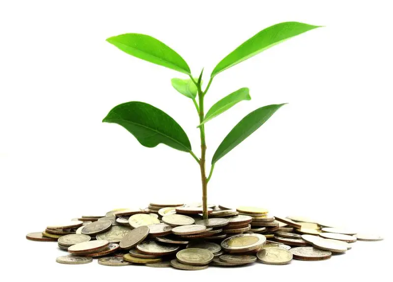 Инвестиции SKF в сохранение экологии | Свежие новости в Ростове-на-Дону