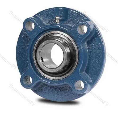 UCFC 218 ASAHI в Ростове-на-Дону